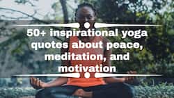 50+ inspirational yoga quotes about peace, meditation, and motivation
