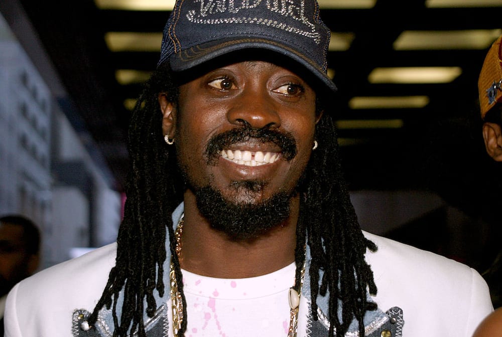 15 top Jamaican dancehall artists of all time (with photos) Tuko.co.ke