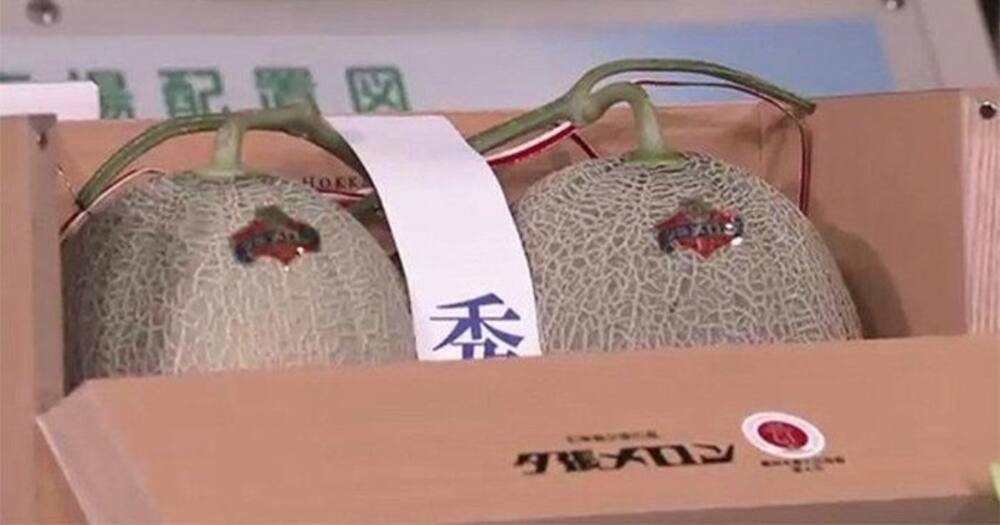 Pair of Yubari Melons Sold at KSh 2.7 Million at Auction in Japan