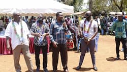 ODM Leaders Change Tune, Claim They Have Confidence in IEBC