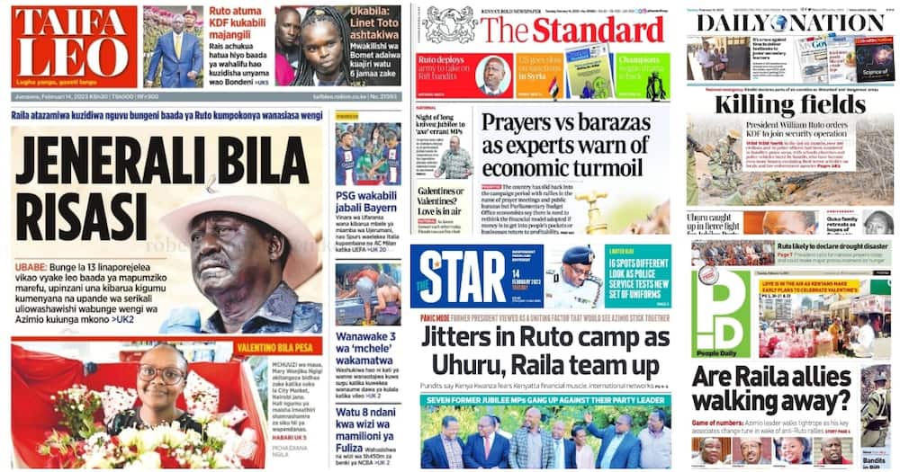 Kenyan Newspapers Review.