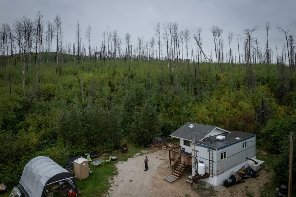Harvey Sykes lost his home in the Fort McMurray wildfire in 2016; even today, dead trees dot the landscape where he rebuilt his house