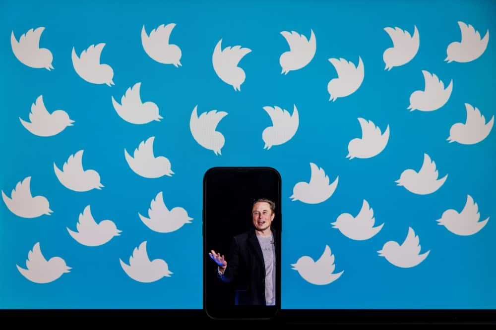 The reinstatement of accounts banned for violating Twitter's content moderation rules has been seen as a bellwether of where new owner Elon Musk, a self-described 'free speech absolutist,' wants to take the site