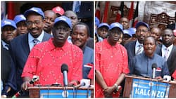 Andrew Sunkuli Endorses Kalonzo Musyoka's Move to Rejoin Azimio: "It Doesn't Make You Watermelon"