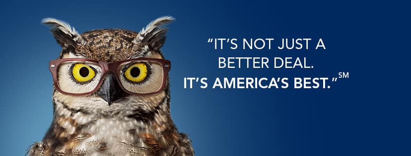 american owl glasses