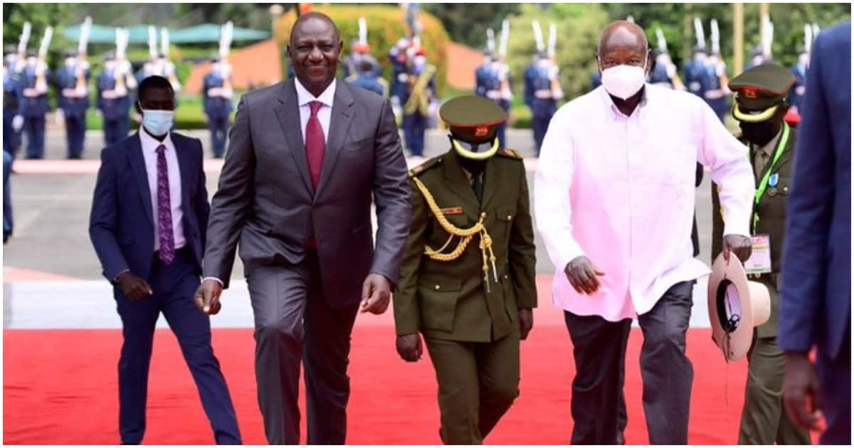 William Ruto Off To Uganda Days After Yoweri Museveni's Son Muhoozi's ...