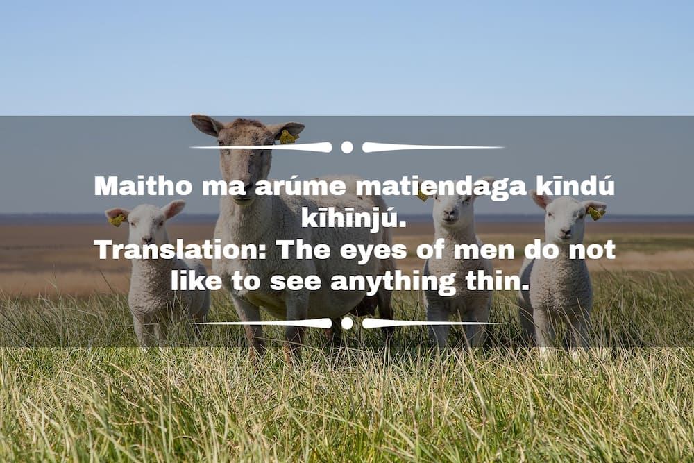 Kikuyu sayings