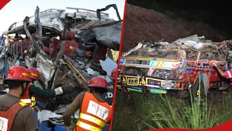 14 Family Members Going to Work Killed after Bus Plunges into Ditch