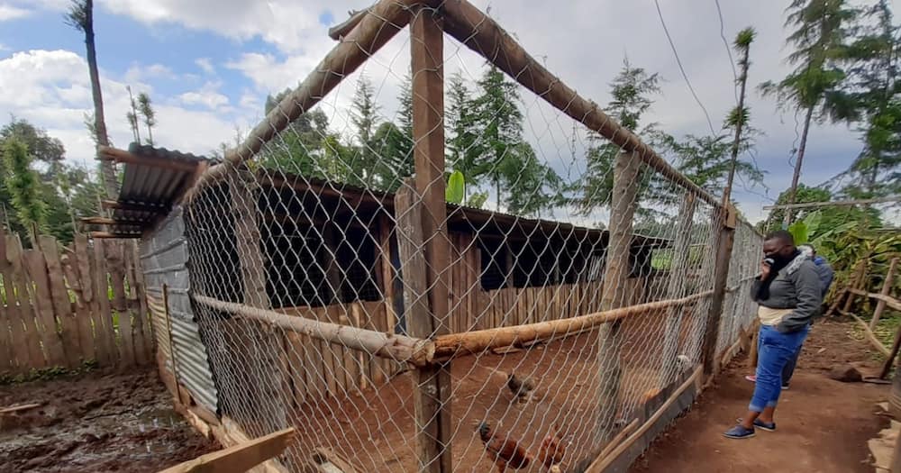 Chicken house