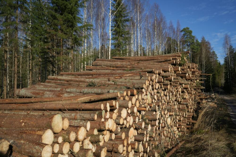 In 2020, the value of Finnish exports of forest industry products was 10.4 billion euros, amounting to 18 percent of the country's total exports