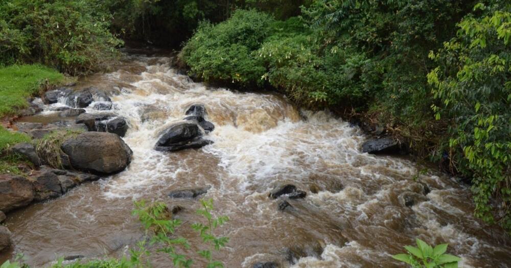 River Kathita. Photo: Friends Of River Kathita.