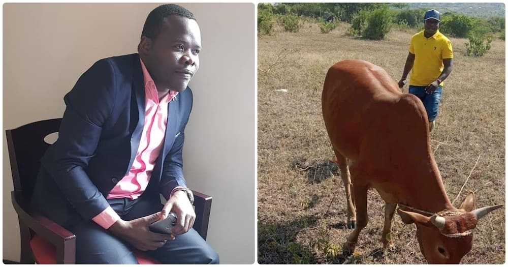 Migori senator rewards polling agents with cows