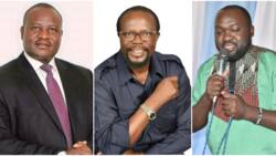 Bungoma Senatorial Race: Headache for Wetang'ula as UDA Candidates Make Inroads