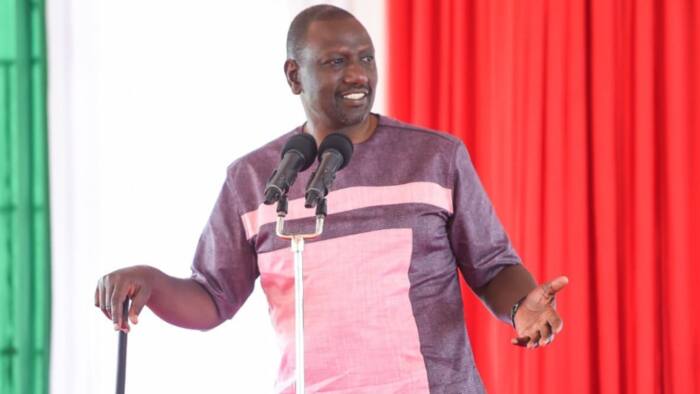 Is William Ruto on a Revenge Mission on Uhuru and Former Jubilee State Officials? Pundits Argue