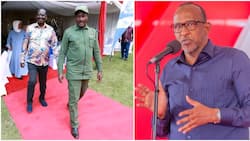 Aden Duale Blasts Raila Odinga, Kalonzo Musyoka over Their Calls for Secession: "There's Constitution"