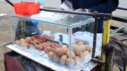 Kisii: Man who hawked eggs for months after losing job to COVID-19 narrates journey to getting reinstated