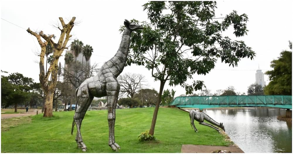 Uhuru Park. Photo: NMS.