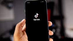 150+ grunge usernames for your TikTok and Instagram page