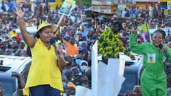 Anne Waiguru Is a Battle-Hardened Politician, Ngirici Must Fight Harder