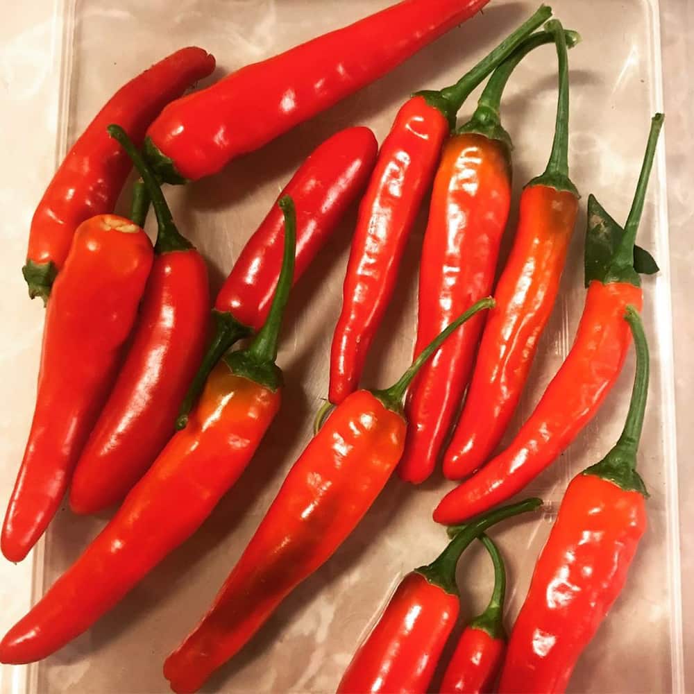 Can Cayenne pepper alleviate blood pressure