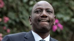 Con Artists in Murang'a Use William Ruto's Name to Defraud Women's Group KSh 1 Million