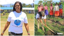 Trees For Memories: Dedan Kimathi's Daughter Kick Starts Initiative to Plant 1 Million Trees