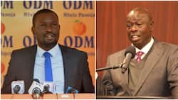 Edwin Sifuna Dares Gachagua for One-on-One Engagement: "I Want to See Where He Gets This Bravado"