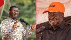Moses Wetang'ula Claps Back at Raila Odinga after Likening Him to Puppet: "3rd in Command"