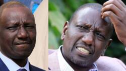 William Ruto Awajibu Wanaodai Yeye ni Mtu wa Hasira Nyingi: "Mambo si Mazuri"