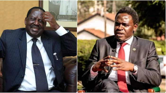 Nelson Havi Says Raila Is a Perfect Leader: "He Has Done a Tremendous Job"
