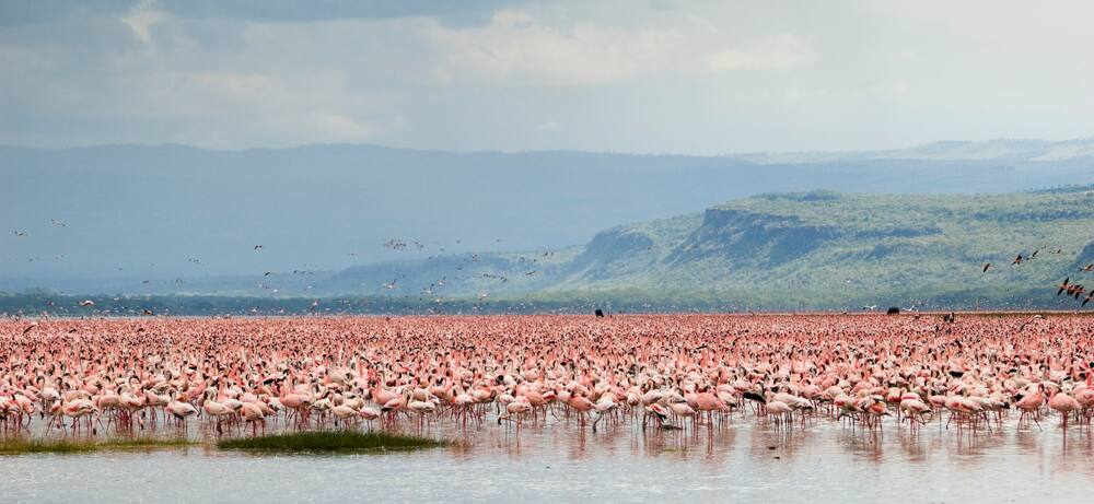 romantic places for couples to visit in Nakuru