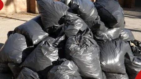 NEMA Bans Plastic Bags, Bin Liners Used for Garbage Collection