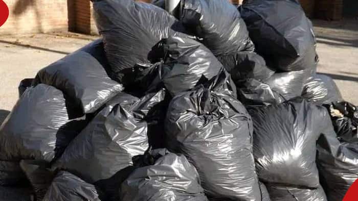 NEMA Bans Plastic Bags, Bin Liners Used for Garbage Collection