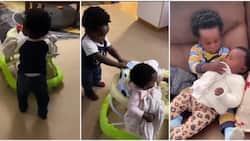 Willis Raburu's Son Mali Adorably Helps Sister Yara Use Baby Walker in Lovely Video