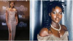 Lupita Nyong'o Stuns in Shimmering Couture Gown at Black Panther 'Wakanda Forever' Premier in Nigeria