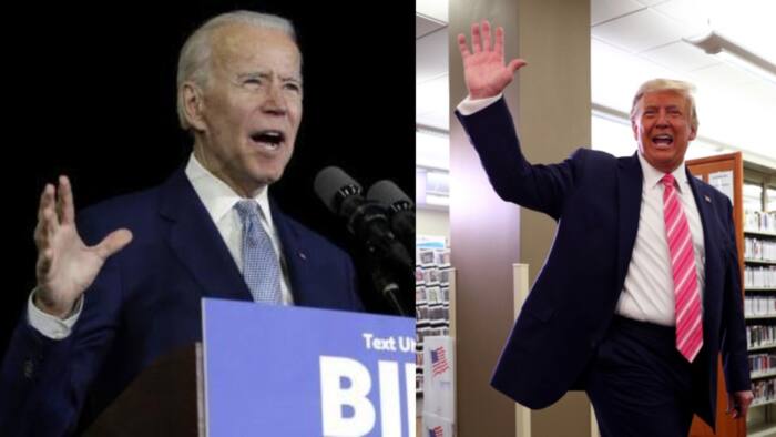 US Election: Trump, Biden rally Americans on election day with last appeal for votes