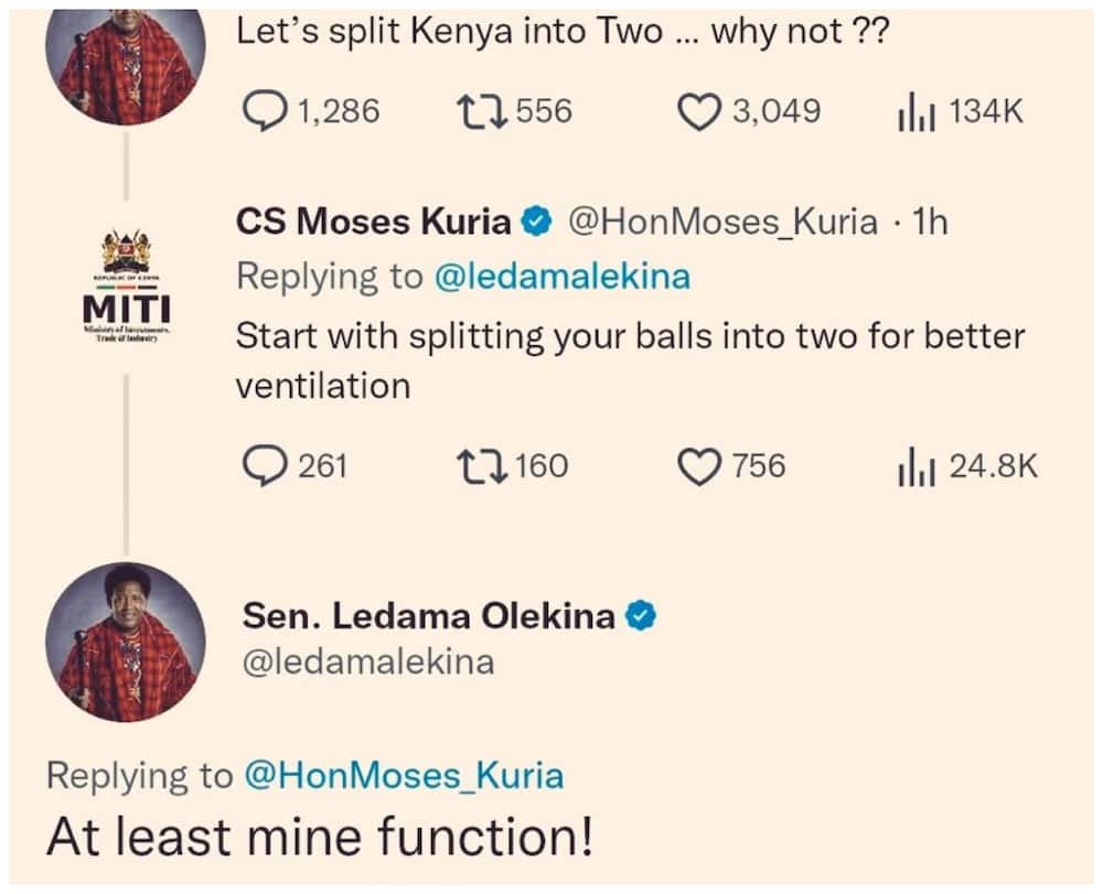 Malumbano ya Ledama Ole Kina na Moses Kuria mtandaoni masaa machache kabla ya maandamano. Picha Twitter.