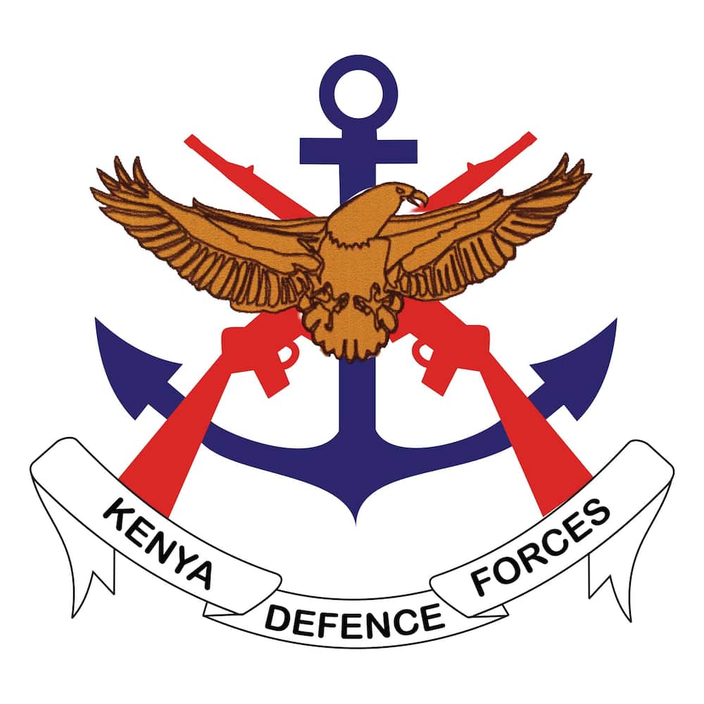When is KDF recruitment in 2023?