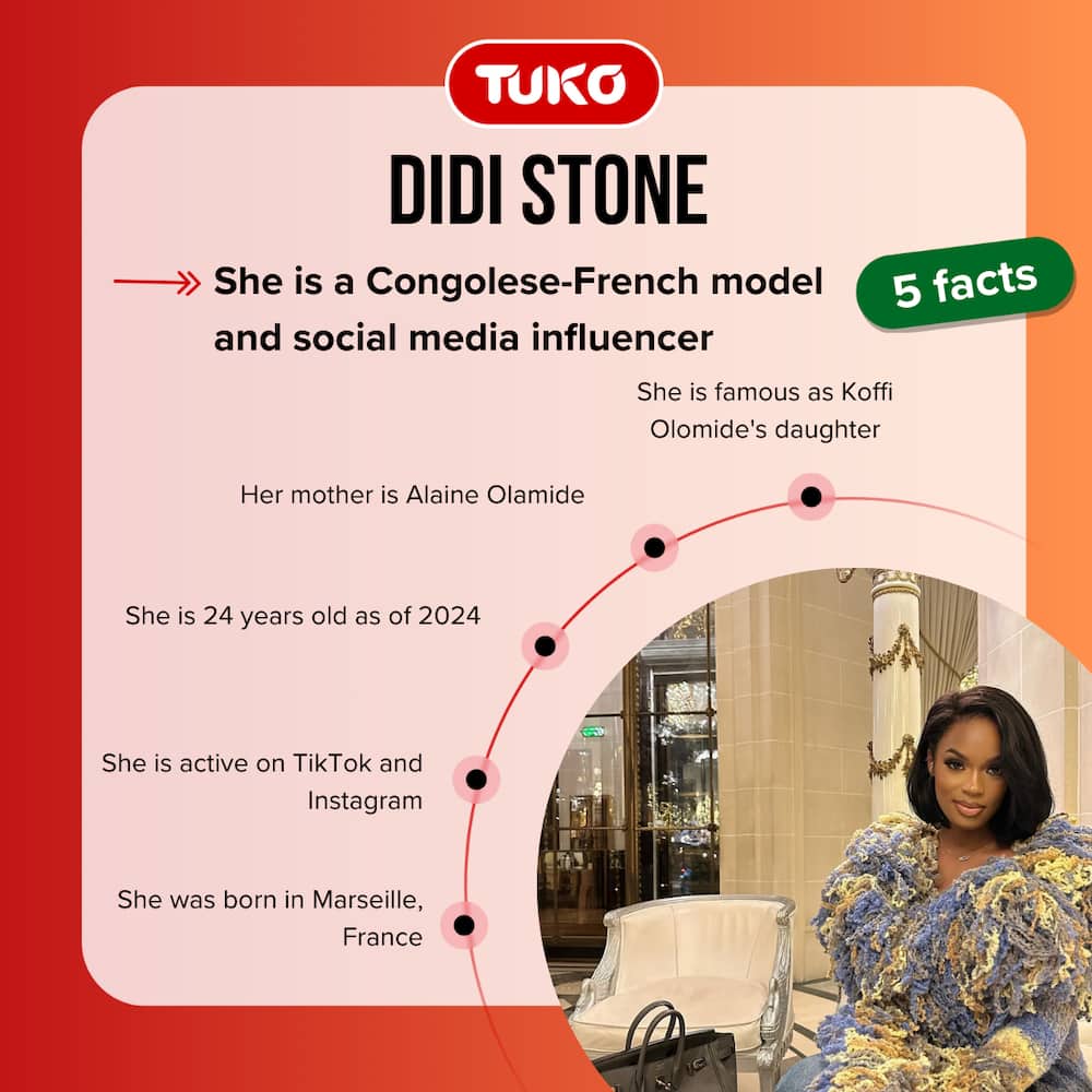 Five facts about Didi Stone.