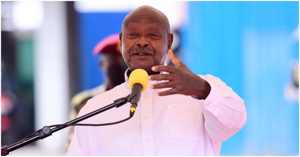 Yoweri Museveni said 50g of cassava flour in the US cost around KSh 1,900.