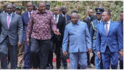 Photo of William Ruto Walking on Periphery as Uhuru Strolls in the Middle Stirs Debate: "Breach of Protocol"