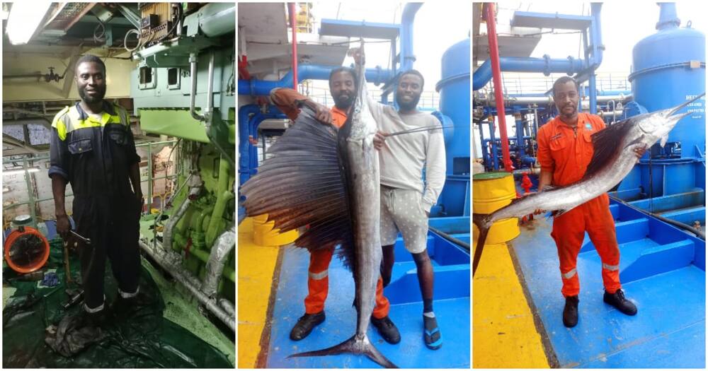 Sailfish, Lagos sea, 3 men catch big sailfish, worth over N500k