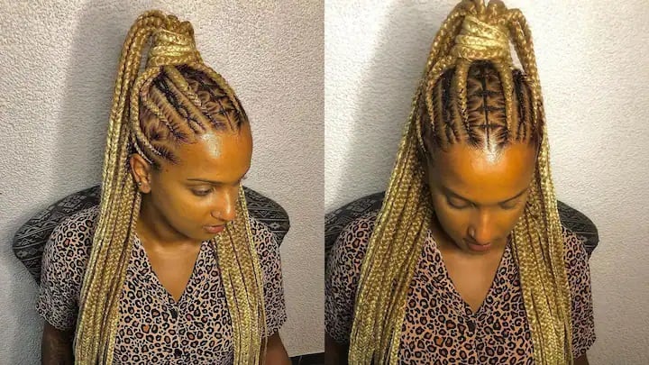 Unique Braided Straight Up Hairstyles