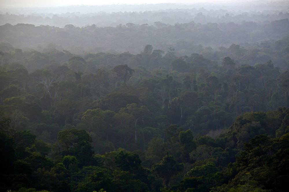 most dangerous jungles in the world