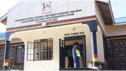 Homa Bay Police Officer Arrested after Losing Firearm from under His Pillow in Rental House