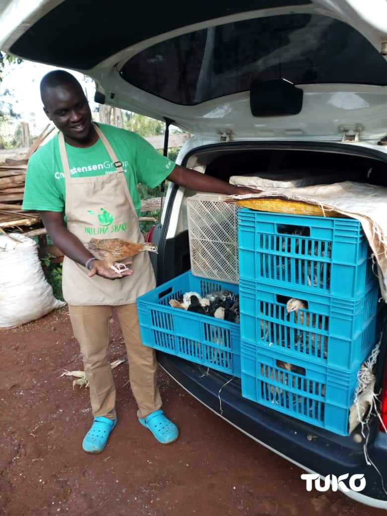 Kenyan graduate who made 200 job applications without success now earns KSh 1m monthly