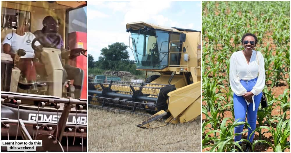 Charlene Ruto driving combine harvester