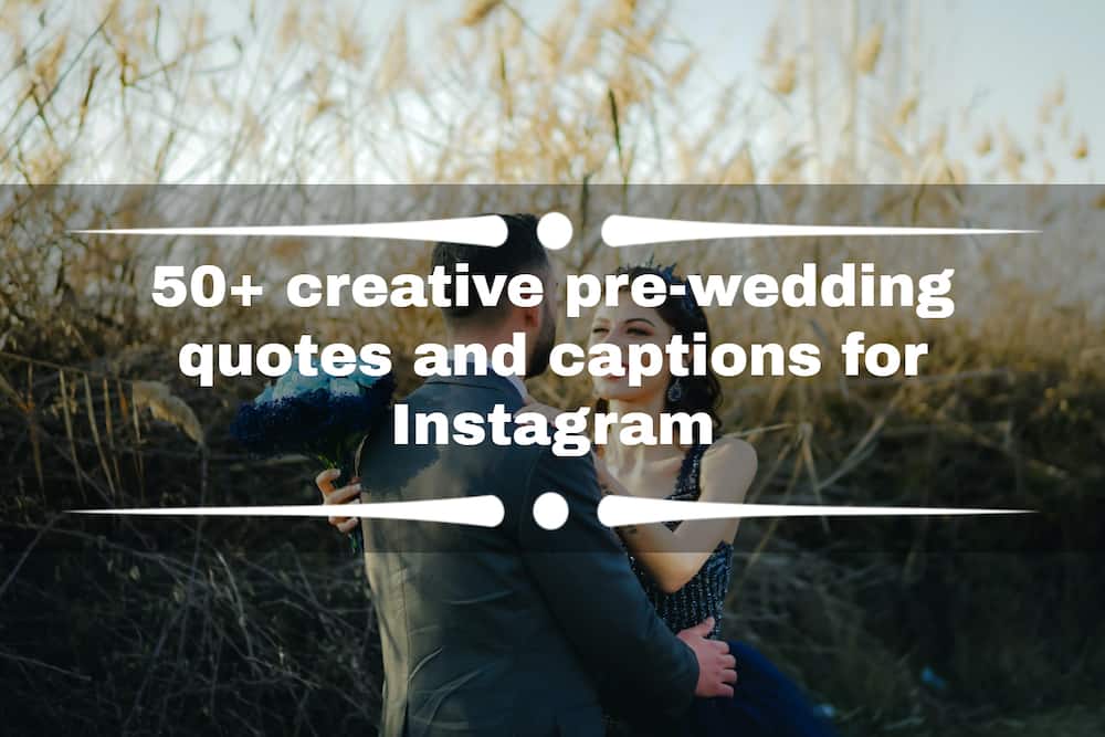 Creative pre-wedding quotes