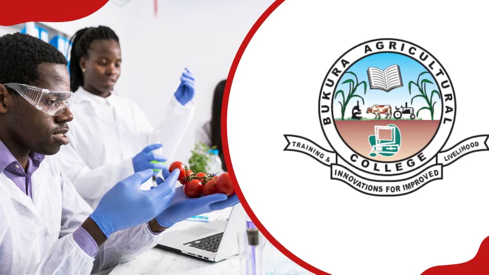 Laboratory technicians verify the quality of vegetables and BAC's logo