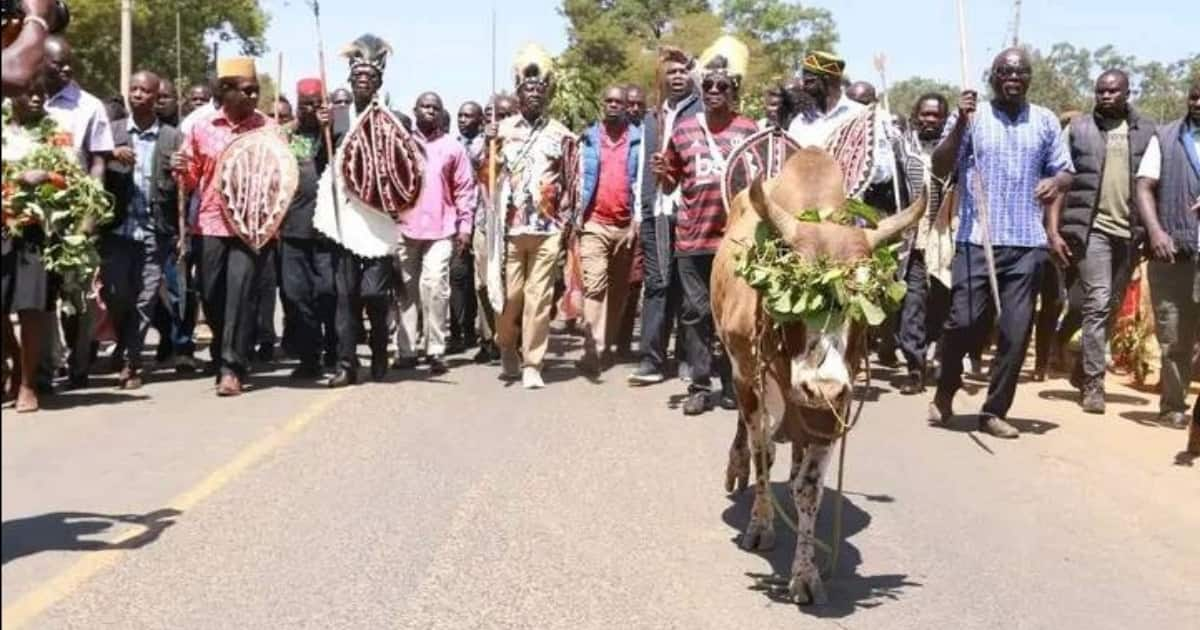 Raila Odinga Arrives At Magoha's Burial In Traditional Regalia ...